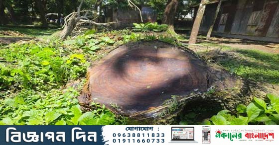 sokalerbd image 5