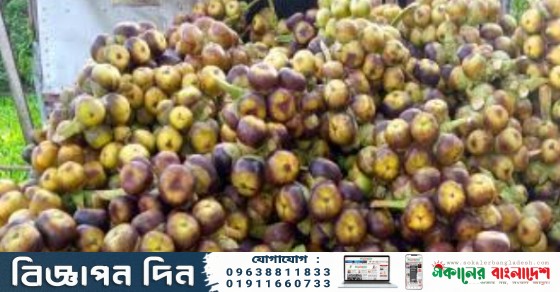 IMG 20250516 214152
